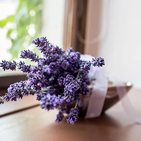 Szálloda Pirnscher Hof - Garni Pirna